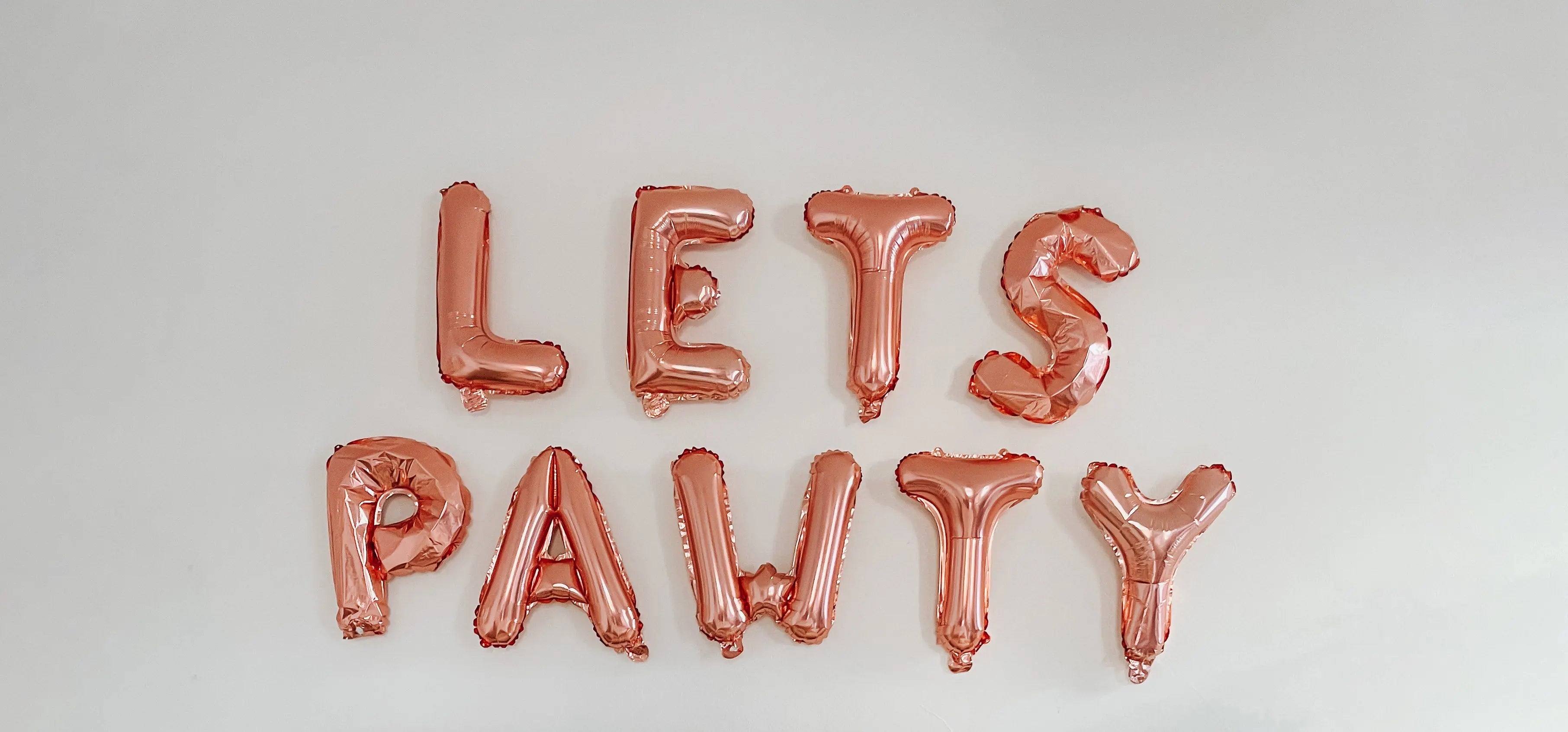 How to Plan an Adopt a Pet Party