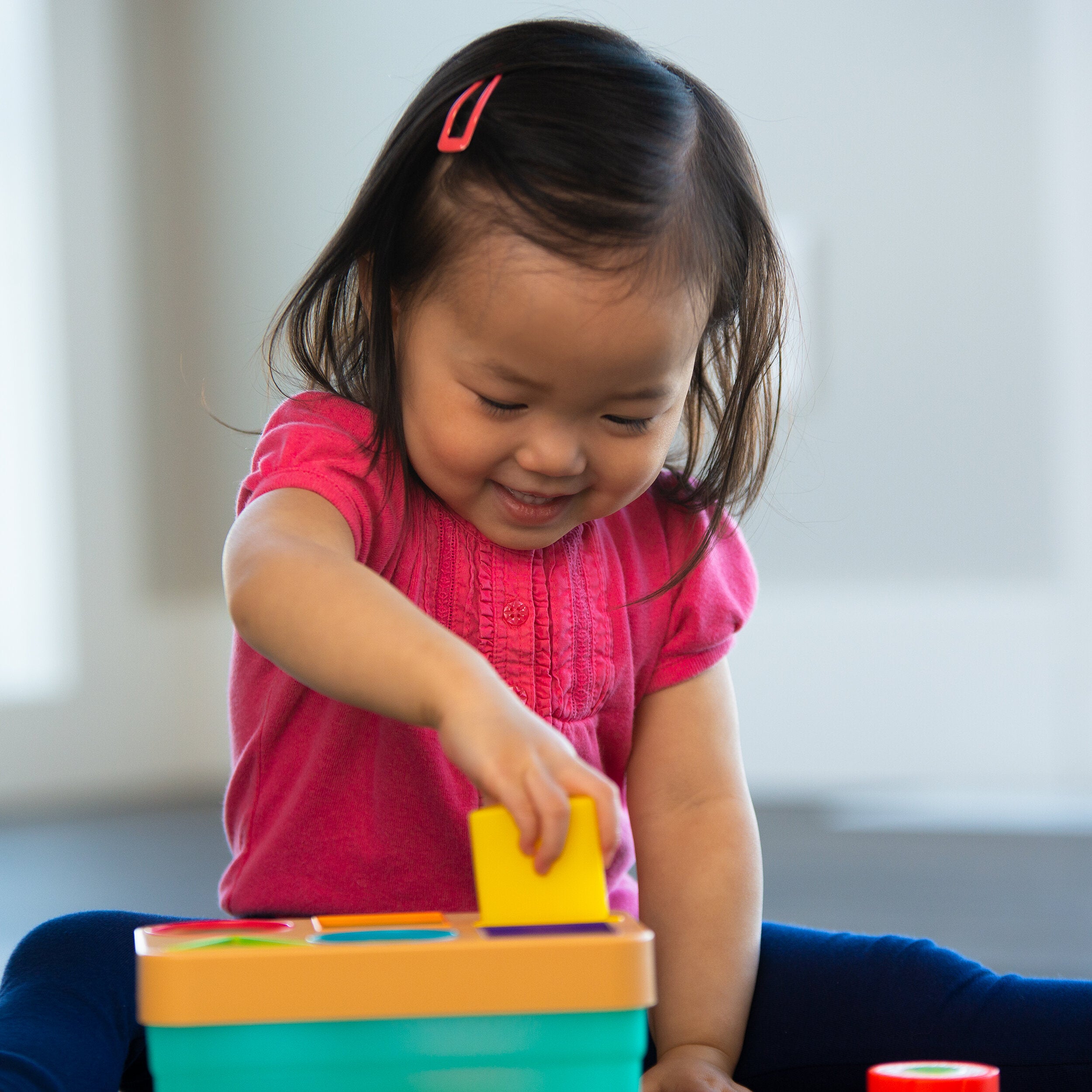 colorful sushi shape sorting toy