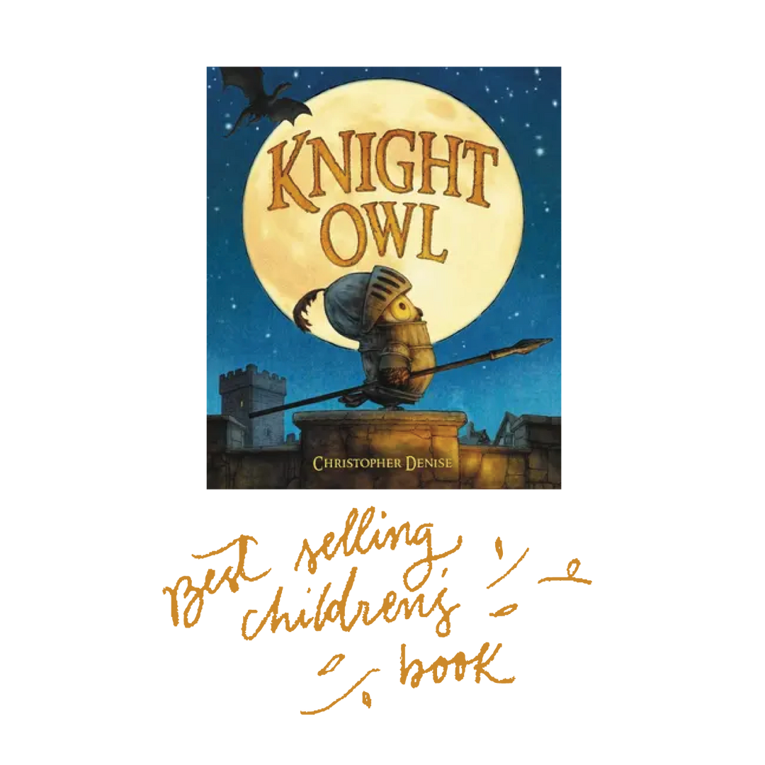Book cover of Knight Owl best selling children's book.
