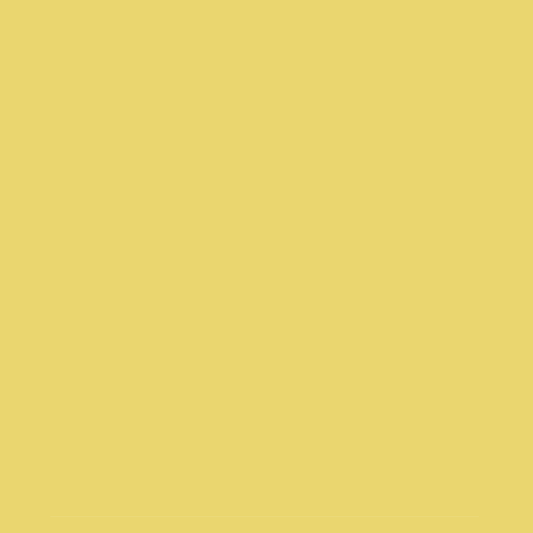Signature mustard color background for our Style Your Own Wee Baby Stella dolls collection.