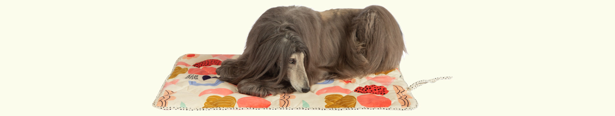 Long haired dog laying on a patterned dog bed