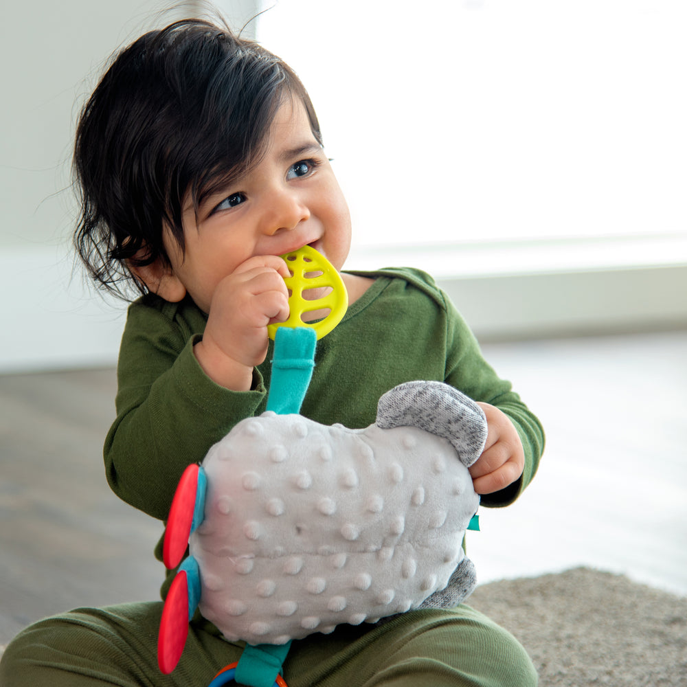 set of koala toys; book, mirror and rattle