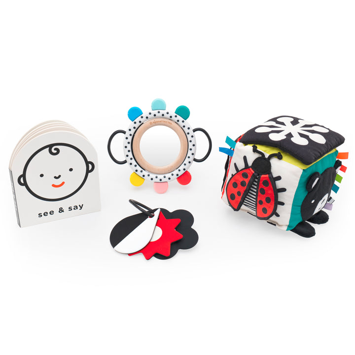 Group visual of a black and white baby board book, grasping toy with colorful nubs and a baby safe mirror, teething shapes and a black and white soft sensory cube. 
