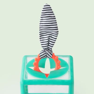 colorful tissue and ring toy