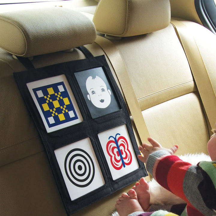 Wimmer-Ferguson Car Seat Gallery - Baby Toys - Manhattan Toy